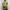 Long Froal Beach Backless Summer Dress Maxi Vintage  photo 2