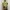 Long Froal Beach Backless Summer Dress Maxi Vintage 