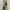 Long Froal Beach Backless Summer Dress Maxi Vintage  photo 1