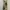 Long Froal Beach Backless Summer Dress Maxi Vintage 
