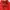 Red See Through Jacket Size M photo 4