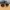 zeroUV sunglasses photo 1