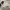 ZeroUV Sunglasses