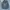 M65  jacket military army photo 1