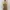 Hassenda Floral Mini Halterneck Summer Beach Dress Vintage photo 2