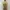 Hassenda Floral Mini Halterneck Summer Beach Dress Vintage
