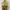 Hassenda Floral Mini Halterneck Summer Beach Dress Vintage photo 6