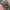 Alpha industries cargo pants army military tactical usa photo 7