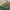 Alpha industries cargo pants army military tactical usa photo 2