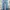 Vintage Selvedge Justin  photo 6
