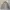 Outerwear Corduroy by Villand photo 3