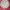 Japanese brand Luxury Casual Formal shirt Pria white red photo 1
