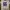 Jersey Original Player La Salle photo 2