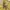 Vintage Yellow Top Y2K  photo 5