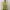 Vintage Yellow Top Y2K  photo 7