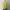 Vintage Yellow Top Y2K  photo 9