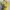 Vintage Yellow Top Y2K  photo 8