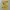 Vintage Yellow Top Y2K  photo 1