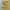 Vintage Yellow Top Y2K 