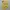 Vintage Yellow Top Y2K  photo 6