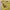 Vintage Yellow Top Y2K  photo 3