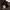 8 HIDDEN EIGHT SNAP BUTTON JACKET photo 2