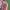 Luxury Track jacket Pria multicolor photo 3