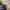 Luxury Track jacket Pria multicolor photo 5