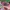 Luxury Track jacket Pria multicolor photo 4