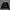 Crewneck GAP Big Logo Second