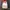 Unknown - Japanese Pleats Flower Pattern Tops Issey Miyake S photo 3