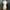 Unknown - Japanese Pleats Flower Pattern Tops Issey Miyake S photo 5