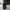 Coach Y2K Casual Shoulder bag Wanita black photo 7