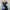 Authentic Calvin Klein Abstract Midi Dress photo 8