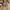 LV bandou size 21 photo 5