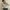 Crop Cardigan Waffle Beige photo 3
