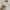 Atasan Blouse Katbol korean look AB photo 5