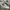 NEW BALANCE 1906R photo 2