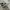 NEW BALANCE 1906R photo 4