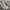 NEW BALANCE 1906R photo 2