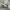 NEW BALANCE 1906R photo 1