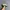 NEW BALANCE ALL COASTS 232 WHITE GUM photo 3