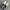 NEW BALANCE ALL COASTS 232 WHITE GUM photo 4