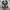 NEW BALANCE 1906R photo 5