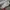 Converse Streetwear Sneakers Pria white photo 3