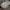 Converse Streetwear Sneakers Pria white photo 2