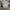 Converse Streetwear Sneakers Pria white photo 4