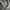 Converse Streetwear Sneakers Pria white photo 5