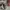 Converse Streetwear Sneakers Pria white photo 6