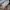 Converse Streetwear Sneakers Pria white photo 1